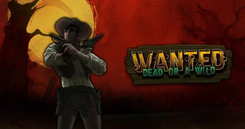 Wanted Dead or a Wild westerngokkast